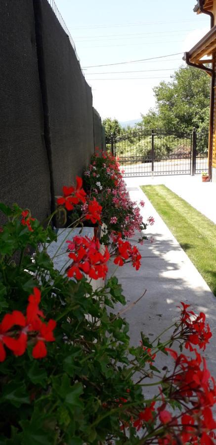 Guest House Ideal Sapareva Banya Exterior photo